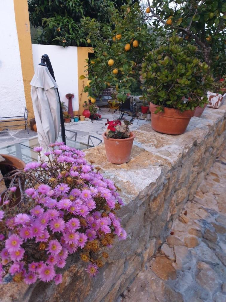 Casa Das Janelinhas - Cottage Near Sintra, Mafra, Ericeira Luaran gambar