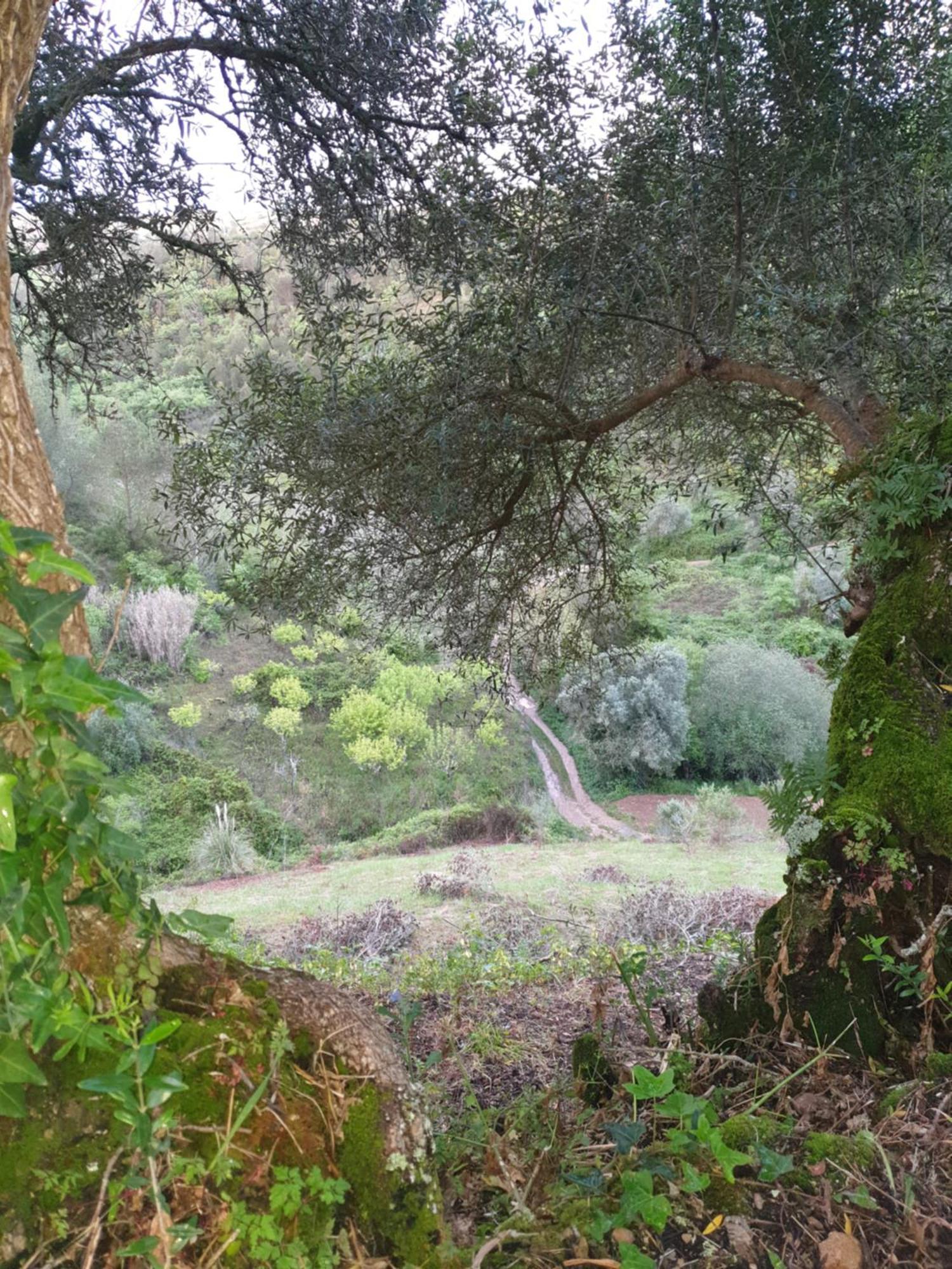 Casa Das Janelinhas - Cottage Near Sintra, Mafra, Ericeira Luaran gambar