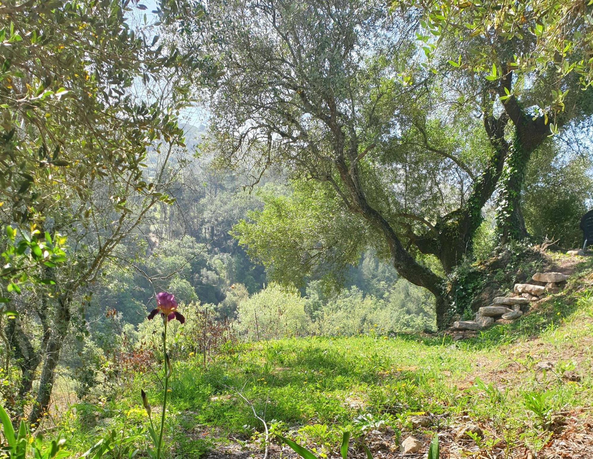 Casa Das Janelinhas - Cottage Near Sintra, Mafra, Ericeira Luaran gambar